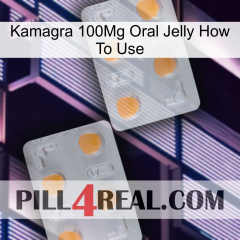 Kamagra 100Mg Oral Jelly How To Use 25